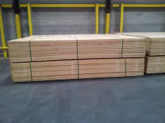 Stone Fruit Tree Props, untreated